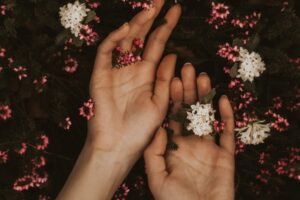 H&auml;nde halten zarte, rosa und wei&szlig;e Blumen in einer nat&uuml;rlichen Umgebung. Die Blumen sind klein und gruppiert, umgeben von dunkelgr&uuml;nem Laubwerk, das den Hintergrund bildet.