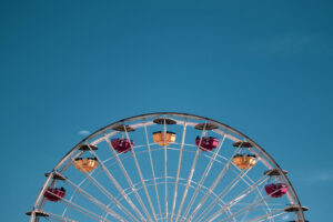wheel of life