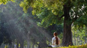 Eine Person sitzt meditierend im Schneidersitz auf einer Wiese, umgeben von &uuml;ppigen B&auml;umen. Sonnenstrahlen fallen durch das Bl&auml;tterdach und schaffen eine friedliche Atmosph&auml;re.