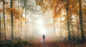 Eine Person geht einen nebligen Waldweg entlang. B&auml;ume mit goldenen und roten Herbstbl&auml;ttern s&auml;umen den Pfad. Der Nebel schafft eine ruhige, mystische Atmosph&auml;re im Wald.